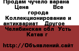 Продам чучело варана. › Цена ­ 15 000 - Все города Коллекционирование и антиквариат » Другое   . Челябинская обл.,Усть-Катав г.